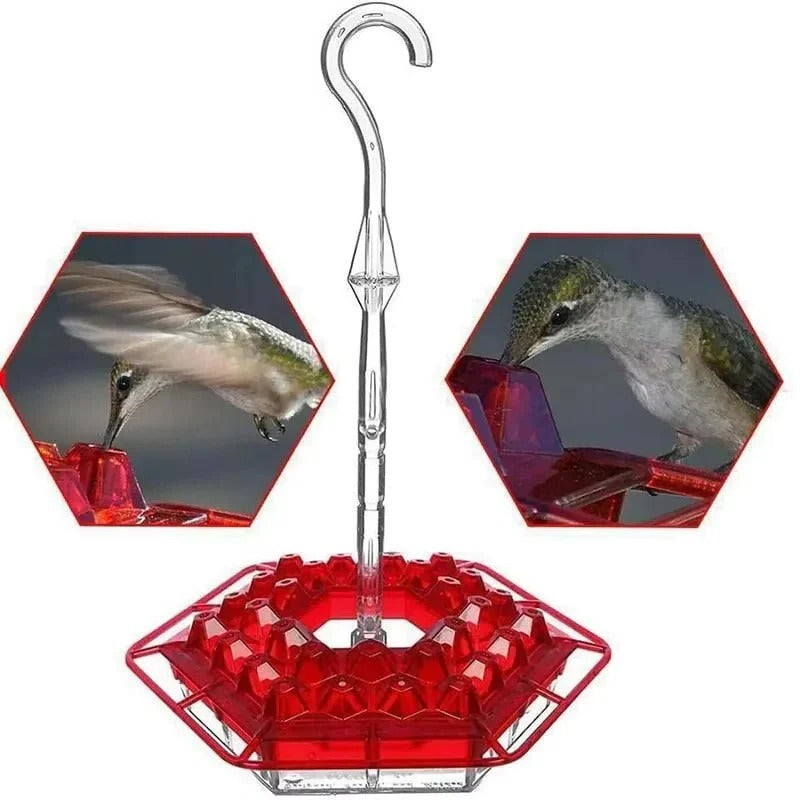 Hummingbird Feeder with Integrated Ant Moat and 30 Flower Ports