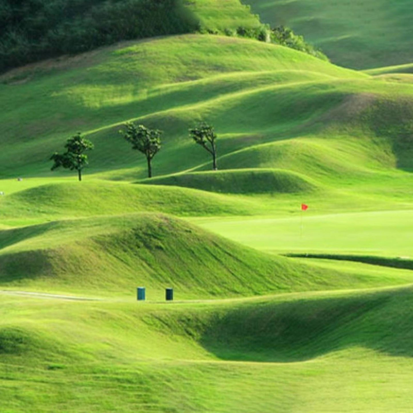 Biodegradable Grass Seed Mat with Pre-Embedded Fertilizer and Erosion Control