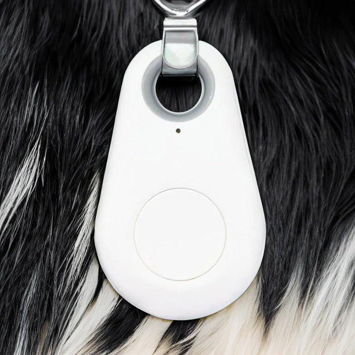 Wireless Pet Tracker with Real Time Location and Beeping Alert, Waterproof 33ft Range