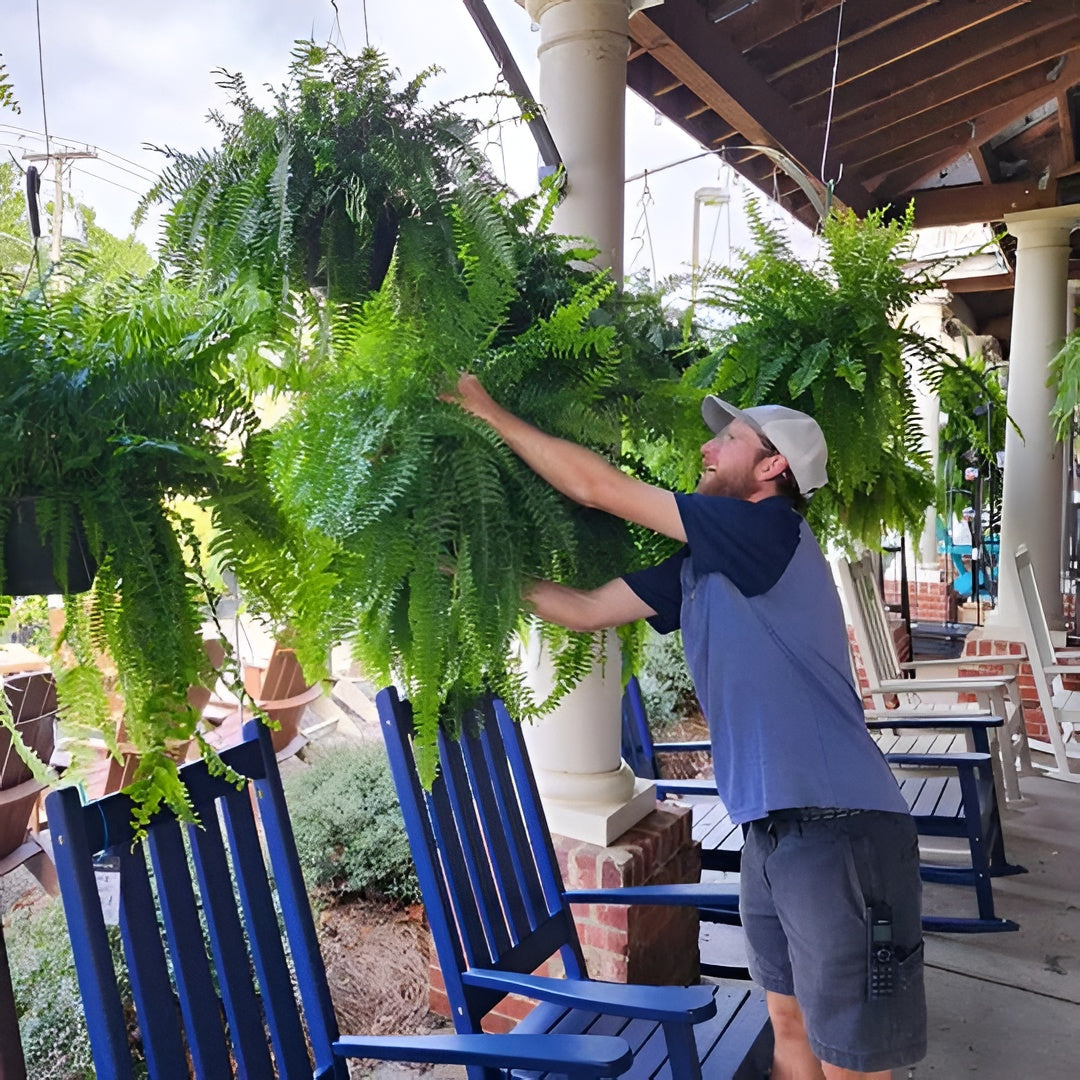 Outdoor Artificial Boston Fern with 18 Branches and Weather Resistant, 27.5in Wide