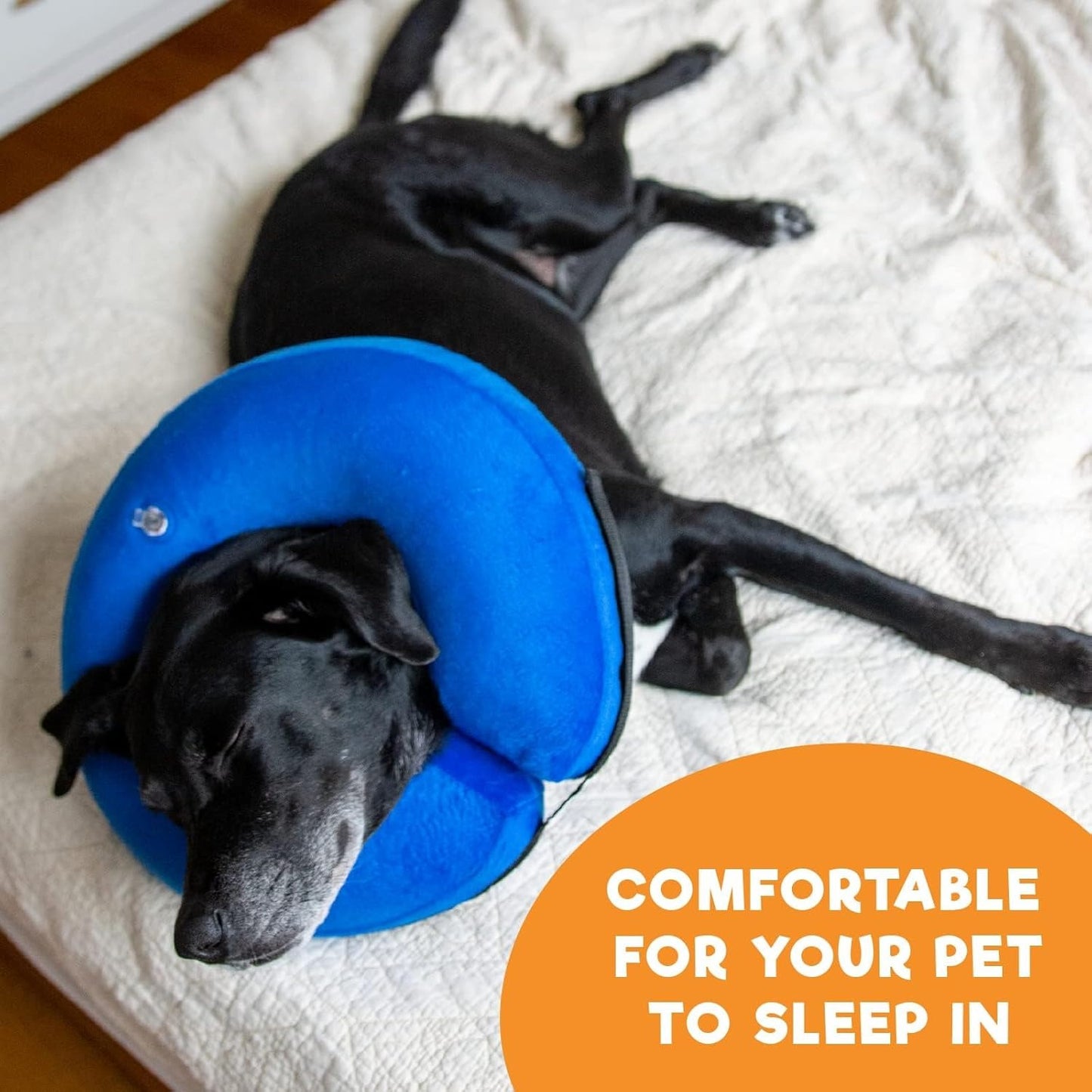Dog Recovery Donut Collar with Adjustable Strap and Washable Cover