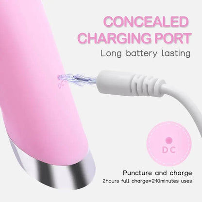 USB Rechargeable Facial Brush with Silicone Bristles and Charging Stand