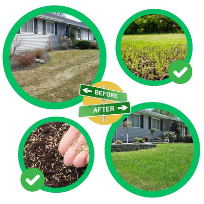 Biodegradable Grass Seed Mat with Pre-Embedded Fertilizer and Erosion Control